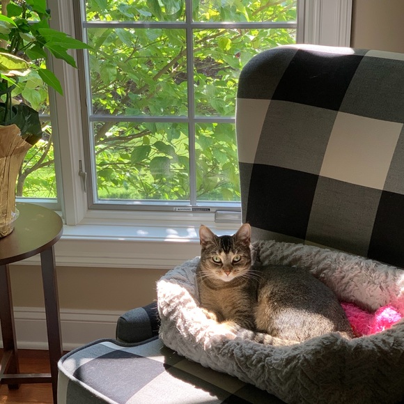 Meet your Posher, Patty - Picture 5 of 12